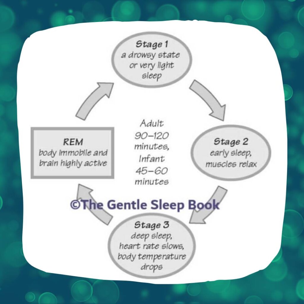 best-baby-sleep-cycle-routine