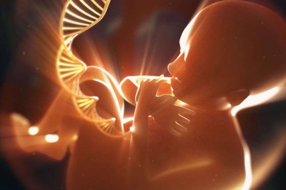 fetal-microchimerism-healing-mother-stem-cells-baby