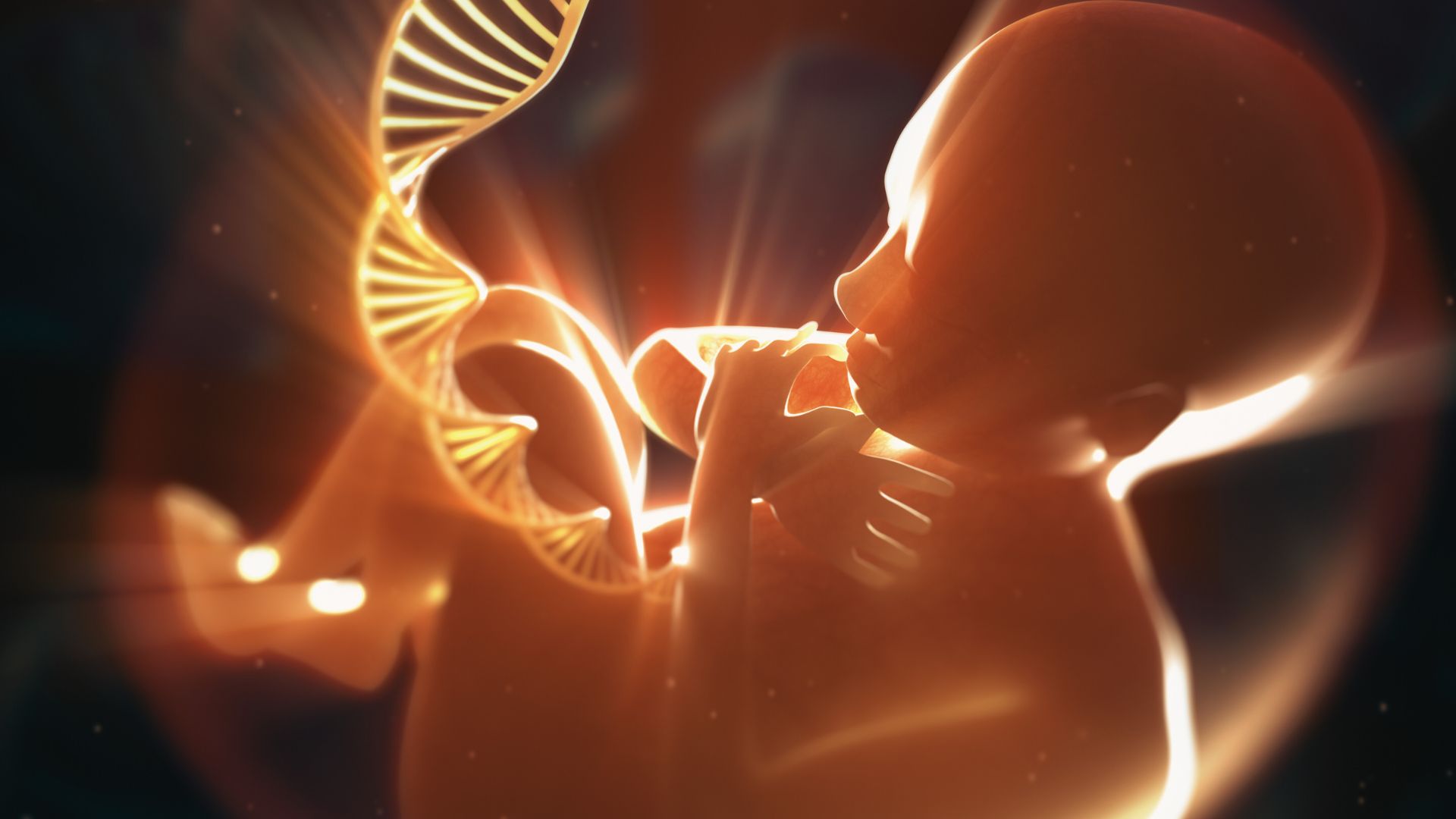 fetal-microchimerism-healing-mother-stem-cells-baby