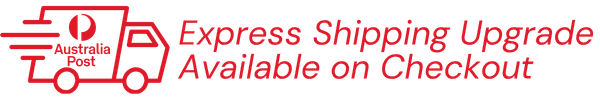 express-shipping-icon